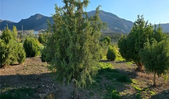 Bugling Bull Road, Cold Creek, NV 89124