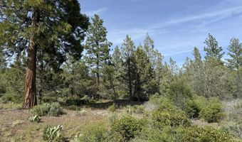 Porpoise Lane lot 29, Bonanza, OR 97623