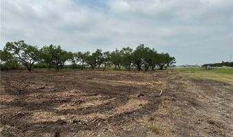 E Hwy 44 x CR 341 lot 0, Alice, TX 78332