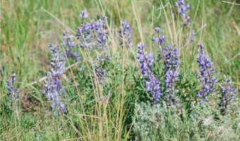 Tbd COS 947 Tract 11, Belfry, MT 59008