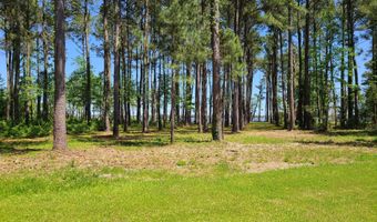 3 3a Gray Goose Dr, Aurora, NC 27806