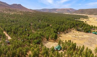 7 County Road 2312, Alpine, AZ 85920