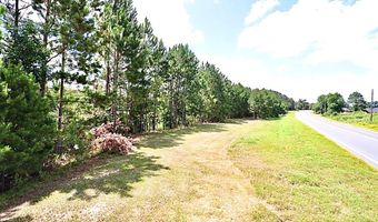 13 89 Ac Lumby Smith & Hwy 37, Adel, GA 31620