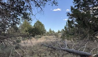HWY 140 300, Beatty, OR 97621