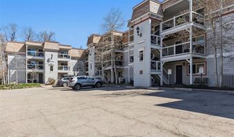 412 S Main St 111, Breckenridge, CO 80424