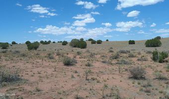 Tbd Ranch of the White Mountains, Concho, AZ 85924