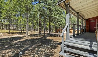 18 County Rd 2120, Alpine, AZ 85920
