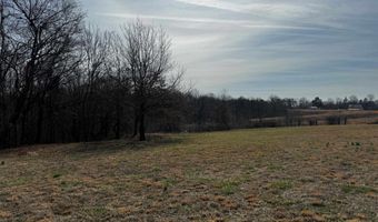 915 Grubbs Rd (Hickman Co. KY 60-without house), Clinton, KY 42031