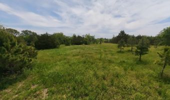 676 County Road 403, Alton, MO 65606