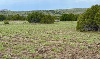 127 Co Rd 8051, Concho, AZ 85924