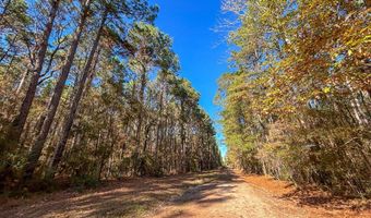 527 Forest Service Rd, Apple Springs, TX 75926