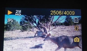 68 Juniperwood Rnch, Ash Fork, AZ 86046