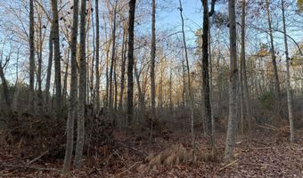 Spann Road, Batesburg Leesville, SC 29006