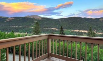 1095 Quartzville Rd, Alma, CO 80440
