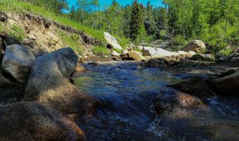 TBD County Road 59, Allenspark, CO 80510
