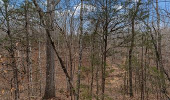 Smithtown Road, Afton, TN 37616