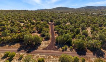 20 CR N8623, Concho, AZ 85924