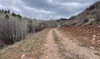 777 RICHARDSON CREEK Rd, Afton, WY 83110