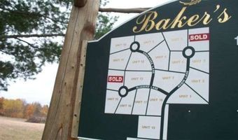 8842 CHICKADEE LOT 12, Alanson, MI 49706