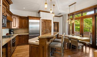 400 E Dean St 09Ab, Aspen, CO 81611