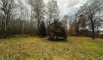 1353 State 371 NW, Backus, MN 56435