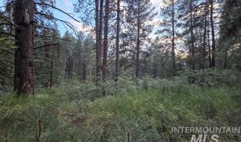 1291 Crown Point Pkwy, Cascade, ID 83611