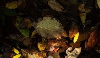 501 Caldwell Rd, Blacksburg, SC 29702