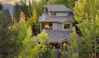 1139 BOREAS PASS Rd, Breckenridge, CO 80424