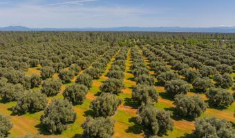 16770 Scout Ave, Anderson, CA 96007