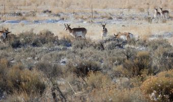 2335 Crowley-Riverside Rd, Arock, OR 97902