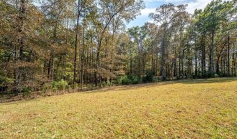 306 Travis Pless Rd, Alto, GA 30510