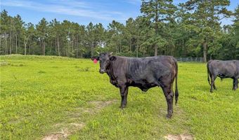 6779 County Road 215, Anderson, TX 77830