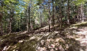 00 Marshall Newland Rd, Burke, VT 05832