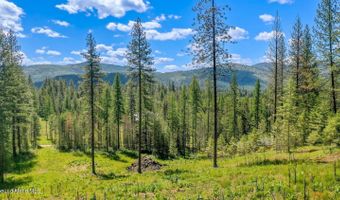 NKA Meadowland Drive, Blanchard, ID 83804