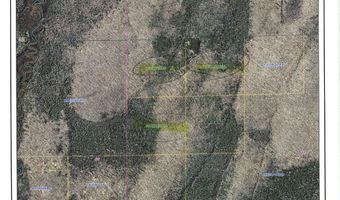 Off HOLFORD RD 120 ACRES, Alvin, WI 54542