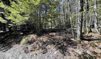 0 Braintree Hill Rd, Braintree, VT 05060