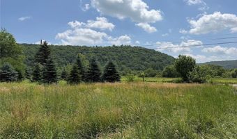 3723 W Five Mile Rd, Allegany, NY 14706