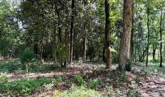 1243 Silcox Rd, Ashford, AL 36312