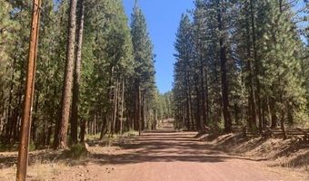 Edgewater Way lot 84, Adin, CA 96006