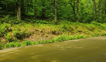 Camp Brook Road lot Map 30 Lot 67, Alstead, NH 03602