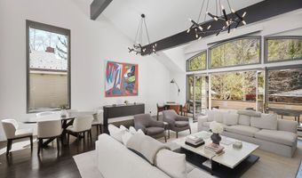 121 W Hyman Ave B, Aspen, CO 81611