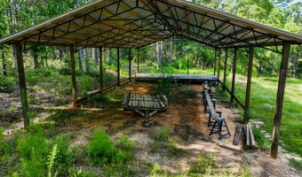 12 5+/- Acres Zell Ready Rd, Andalusia, AL 36421