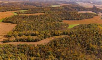 Simons Rd, Alma, WI 54610