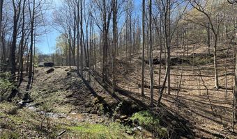 92 Frank Fork Rd, Alkol, WV 25501