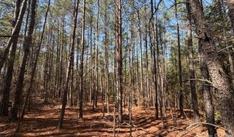 12 68 Acre 99 Rd, Blair, SC 29015