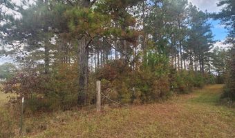 13962 Alabama Highway 95 N, Abbeville, AL 36310