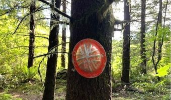Nowakowski Rd, Banks, OR 97106