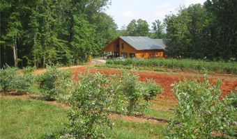464 Poole Rd, Ball Ground, GA 30107