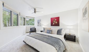 506 W Hallam St, Aspen, CO 81611