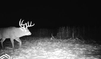 560 Th Ave, Albia, IA 52531